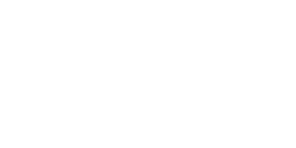 festo-white